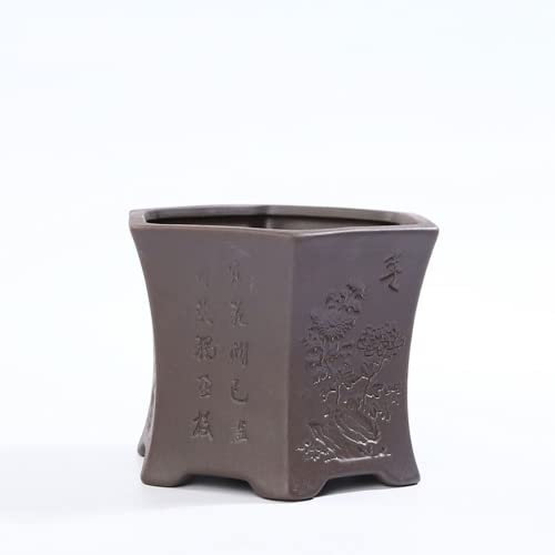XIALON Keramik-Bonsai-Bonsai, Sand, Chrysantheme, Topf, Acorus-Grün