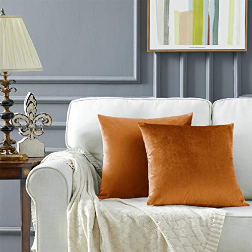GIGIZAZA Samt Kissenbezug Kissenhülle 60x60cm Deko Kissenbezüge Dekokissen Fall für Sofa Schlafzimmer Wohnzimmer 2er Set Zimt Orange