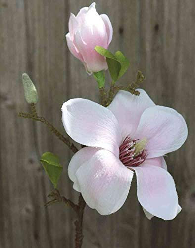 artplants.de Magnolie Kunstblume FEMI, zartrosa, 35cm, Ø12cm - Kunst Magnolia/Seidenblume