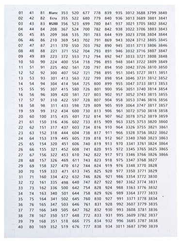 DMC Farben-Zahlenetiketten-Aufkleber for Diamant-Aufbewahrungsbox, Mosaikperlen, Organizer, Flaschenwerkzeug, 100 Digitale Aufkleber, 26 Buchstaben, DMC447, Farbnummer for Flaschenordner, Ordner