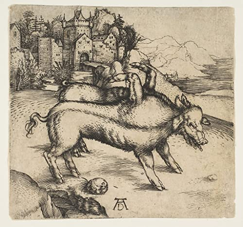 MNMSBFXQ Ölgemälde Leinwandbilder Bild Poster Kunstdrucke Das monströse schwein von landser von albrecht dürer Drucken Ölgemälde für Wanddekoration 60x90cm