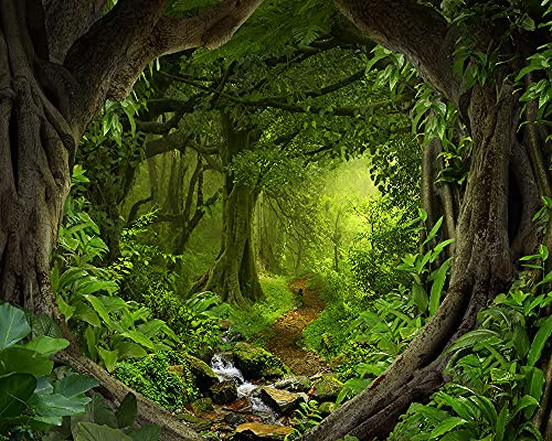 Haosphoto 7X5FT Tropical Forest Backdrop for Photography Jungle Woods Backdrops Cascade Rainforest Spring Background for Birthday Cake Smash Kids Safari Birthday Wedding Photo Studio Props Vinyl HL02