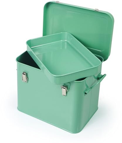 Luwint Kleine Aufbewahrungsbox mit herausnehmbarem Tablett, Zinn-Metall-Samen-Organizer/Andenken-Boxen mit Scharnierdeckel/Mini-Werkzeugkasten, 20,3 cm Länge