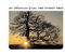 The Sunset Tree (Reissue) [Vinyl LP]