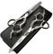 Professional hair scissors 5.5 inch 6 inch JAPAN 440C hairdressing cutting&thinning scissors barber shears (6 Zoll Anzug)