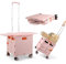 Carrello per la Spesa Pieghevole, Carrello in Plastica su Ruote, Tavolo Magnetico Retrattile, Copertura Scorrevole, Resistente fino a 55 kg, Portatile per il Campeggio,Scatola Portaoggetti -Rosa