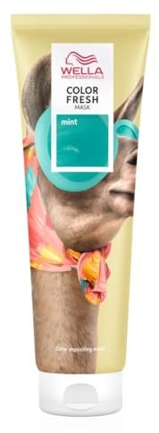 Wella 985-18850 Color Fresh Mask Fun Mint 150 ml für Erwachsene, Gebaut für gesund aussehende Haarpflege und Styling, 150 ml, Größe 150
