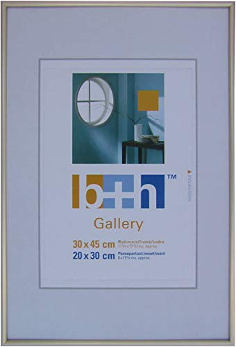 Bilderrahmen 30 x 45 Kunststoff gold matt schmal Portrait-Rahmen Puzzle Foto Echt-Glas