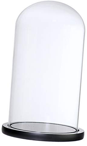 PETSOLA Cupola di Cristallo Decorativa Vaso di Fiori in Vetro Base Vaso di Micro Paesaggio, F nero