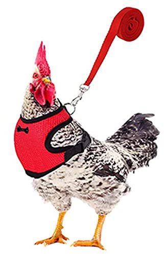 Haustierleine, Hühnergeschirr Warnweste Für Hühner Atmungsaktiv Huhn Weste Verstellbares Hühner Geschirr Und Leine Mit Schleife Für Hühner, Ente Oder Gans
