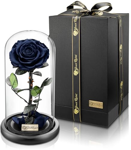YourRoses® vera rosa di alta qualità in vetro con una splendida confezione regalo | lunga durata & elegante regalo come prova d'amore | Un regalo dal cuore