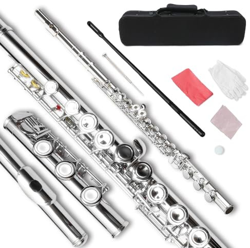 WUQIMUSC C-Flöte mit 17 Tasten, geschlossenes Loch, C-Flöte für Anfänger, Reinigungsset mit Handschuhen, Stoff, Stimmstab, Hartschalenkoffer, Nickel, Silber, 17 Tasten, Flöteninstrument,