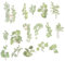 COHEALI 60st Scrapbook-Aufkleber Hübsche Aufkleber DIY Tagebuch Aufkleber Dekorative Aufkleber Für Karten Scrapbooking-Aufkleber Der Blumenserie Laptop-Aufkleber Pflanzenaufkleber Plastik