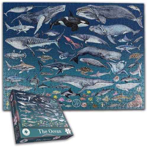 The Ocean 1000 Piece Jigsaw Puzzle - Rachel Brooks - Underwater life illustrations