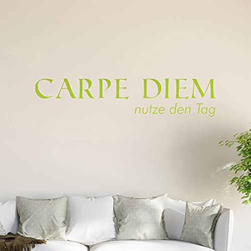 Carpe Diem Wandtattoo in 6 Größen - Wandaufkleber Wall Sticker - Dekoration, Küche, Wohnzimmer, Schlafzimmer, Badezimmer