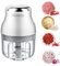 Garlic Chopper, Mini Food Processor, USB Rechargeable Mini Chopper, Powerful Garlic Crusher, Blender to Vegetable, Wireless Vegetable Chopper for Ginger, Chili, Fruit, Meat, etc（250ML）