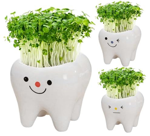Macetas con forma de diente, 3 piezas de cerámica suculenta en forma de dientes, bonitos contenedores de flores, macetas decorativas, soporte creativo para lápices para decoración de escritorio