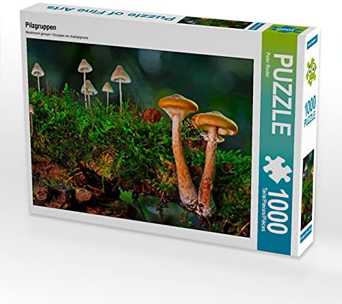 CALVENDO Puzzle Pilzgruppen | 1000 Teile Lege-Größe 64 x 48 cm Foto-Puzzle für glückliche Stunden