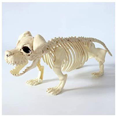 Animal Anatomy Model Realistisches popfables Tierhund-Skelett, Halloween-Skeleton-Dog Dekorationen Puppe Outdoor Patio Bones Modell Requisite Anatomisches Tier Biologie Skelett Puzzle ( Color : A )