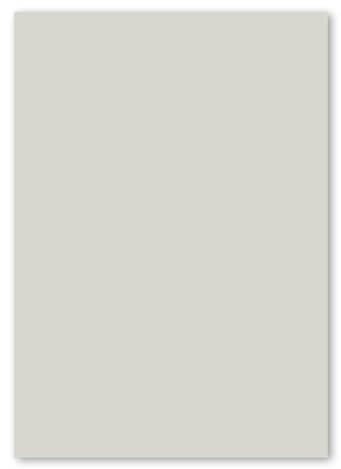 50x DIN A4 Papier - Hellgrau (Grau) - 110 g/m² - 21 x 29,7 cm - Briefpapier Bastelpapier Tonpapier Briefbogen - FarbenFroh by GUSTAV NEUSER