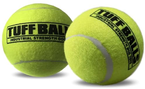 PetSport Mini-Tuff-Ball – Tennisbälle für kleine Hunde, ideal für Langeweile und Aggressive Kauer, interaktiv, Zertifiziert ungiftig, verschleißt Nicht die Zähne – 3,8 cm (2 Stück)