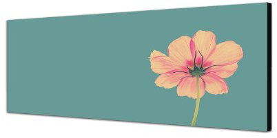 Augenblicke Wandbilder Keilrahmenbild Wandbild 150x50cm Blüte Blume Frühling Vintage