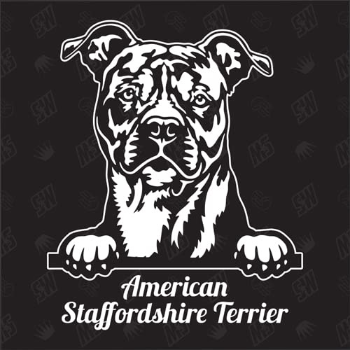 American Staffordshire Terrier Version 3 - Sticker, Aufkleber, Hundeaufkleber, Autoaufkleber, Hund, Auto, Hunderassen, Mischling, Mix, Tiere, Haustier (AUCH MIT Wunschname MÖGLICH)