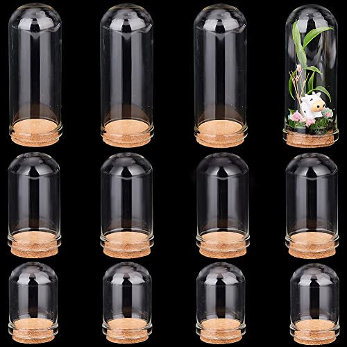 PandaHall 12pcs Cloche dôme en Verre, 3 Tailles Cloche en Verre avec Base en liège Dôme de Bouteilles en Verre Vitrine de Pots décoratifs pour Le Stockage de Fleurs Décoration de fête
