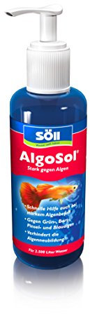 Söll 80481 AlgoSol Aquarienpflege gegen Algen im Aquarium 250 ml - hocheffektives Aquarienpflegemittel Algenmittel mit Lichtfilter gegen Grünalgen Bartalgen Pinselalgen Blaualgen