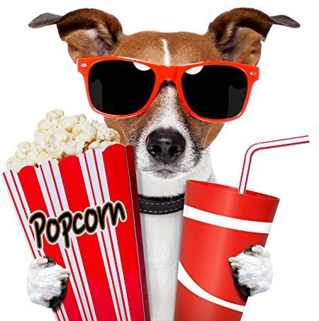 Edition Colibri 6 lustige Einladungskarten ins Kino mit Umschlägen ; Einladungen zum Kindergeburtstag mit witzigem Hund mit 3-D-Brille und Popcorn Chico geht ins Kino