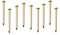 Bulk Hardware BH02287 Chiodo Appendiquadri in Acciaio Temprato a Testa Piatta, Finitura Anodizzata Ottone, Bianco, Set di 100