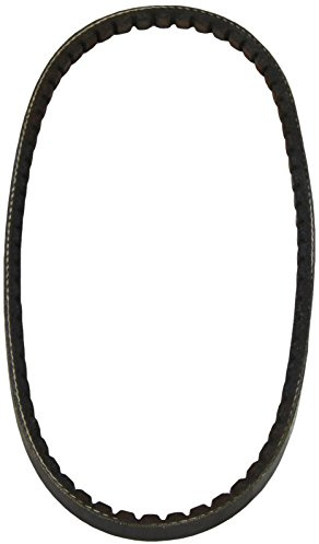 DAYCO 10A0700C Gürtel