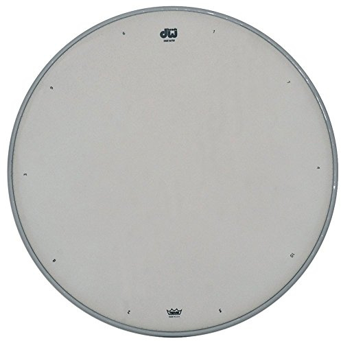 DW Coated Snare Drum Batter 13 in.
