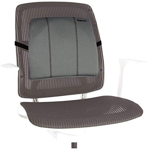 Fellowes 9190901 Smart Suites Slimline Rückenstütze, Graphit