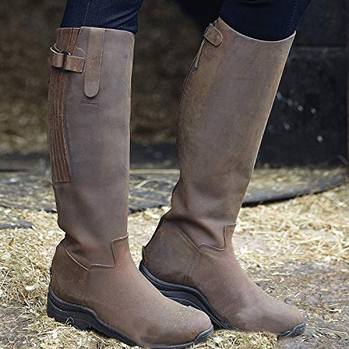 Toggi Calgary Long Riding Boots - Cheeko Brown- 43 Wide Fit