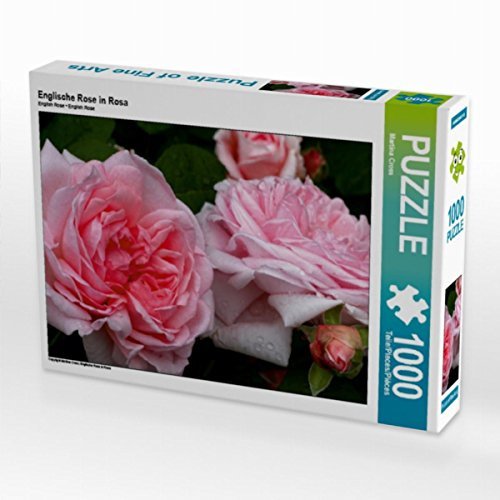 CALVENDO Puzzle Englische Rose in Rosa | 1000 Teile Lege-Größe 64 x 48 cm Foto-Puzzle für glückliche Stunden