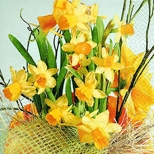 20 Servietten Daffodil Blossoms ? Narzissenblüten/Blumen/Frühling 33x33cm