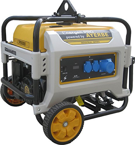 Ayerbe ENER-GEN PRO 8000 Generador, 6500W