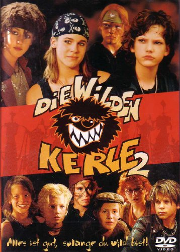 Die wilden Kerle 2
