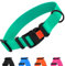 CollarDirect Wasserdichtes Hundehalsband Verstellbar – Silikon & Kunststoff, Geruchsresistent, Leicht zu Reinigen, Sicherheitsverschluss – für kleine, mittlere & große Hunde (Minzgrün, XL (45-66 cm))
