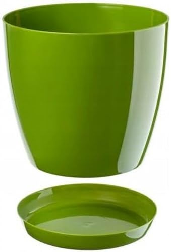 B2C Plant Pot Flower 20 Colours 9 sizes Gloss Plastic Plant Pots Planter Saucer Tray Deco (16 cm/ 6.3 inch, Green)
