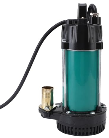 Sahgsa Bomba Sumergible 300W Potente Bomba de Agua Industrial para Granja, Estanque, Acero Inoxidable (12 V CC.)