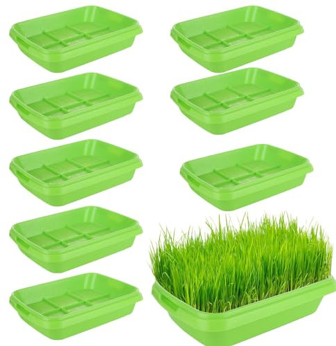 CYEER 10 bandejas de germinación para brotes, 34 x 25 x 7 cm, microgreens para cultivo, bandeja de germinación, berros, juego de cultivo, brotes, caja de brotes para el cultivo de granos mungo