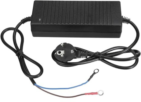 12V 12A 110W Diesel Lufterhitzer Adapter Netzkabel AC100V-240V auf DC 12V Netzteil Adapter EU Plug