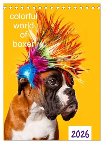 colorful world of boxer 2026 (Tischkalender 2026 DIN A5 hoch), CALVENDO Monatskalender: Jahreskalender 2015 Boxer (CALVENDO Tiere)