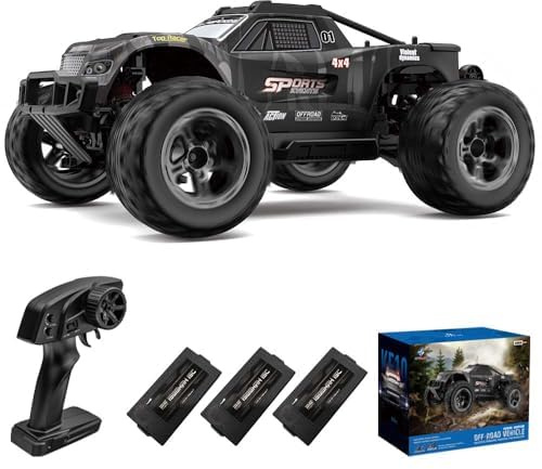 Teeggi 1/10 Ferngesteuertes Auto 50km/h, RC Hohe Geschwindigkeit Offroad Drift Rennauto, 2.4G Hochgeschwindigkeits Motor 4WD Off Road Race Buggy für Erwachsene, 3 Batterien(Grau)