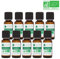 Kit Indispensables Bio 10 Huiles Essentielles - 100% Pure et Naturelle - HEBBD, Ecocert - Tee Trea, Citronnelle, Eucalyptus Globulus, Lavande, Ravintsara, Basilic, etc - 10x10 ml Parfums - VOSHUILES