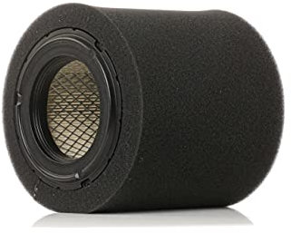 RIDEX 8A0575 Filtro aria motore Cartuccia filtro Filtro aria ricircolo con prefiltro