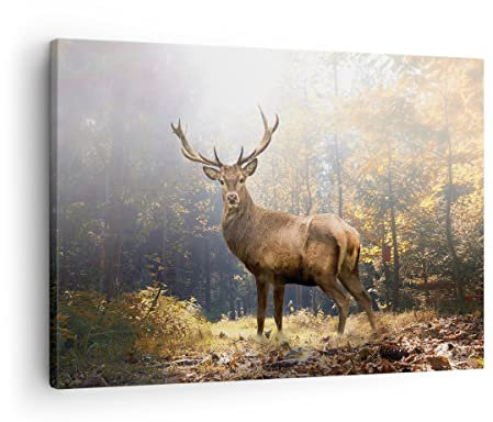 Bilder auf Leinwand Licht Hirsch Wald Leinwandbild mit Rahmen 70x50cm Wandbilder Dekoration Wohnzimmer Schlafzimmer Küche Deko Klein Wanddeko Bild Wand Kunstdruck Art Wall Decor Canvas AA70x50-4452