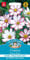 Mr Fothergill?s Seeds Ltd 15246 Mr Fothergill's Seeds-Cosmos Candy Stripe, Pink